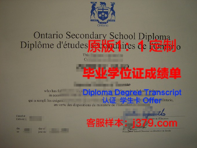 多伦多大学毕业证书图片样本