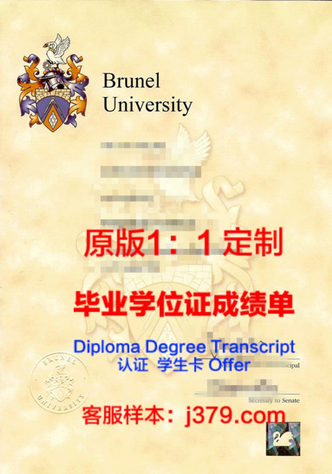 英国布鲁内尔大学毕业证